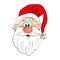 Vector illustration of cheerful Santa Claus isolated face.