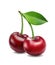 Vector illustration. Cherries photo realistic 3d icon