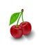 Vector illustration. Cherries photo realistic 3d icon isolated on white background.
