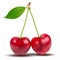Vector illustration. Cherries realistic 3d icon