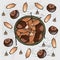 Vector illustration with chestnuts and acorns.