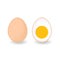 Vector illustration of chicken eggs: whole egg and half of hard