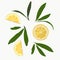 Vector and illustration of a citron. Yellow sour citron fruit ripe cut into pieces with mint leaves.