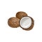 Vector illustration of a coconut whole, cracked into halves. Food symbol. Whole nuts and coconut kernels.