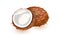 Vector illustration of a coconut whole, cracked into halves. Food symbol. Whole nuts and coconut kernels.