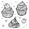 Vector illustration with collection of black and white cupcakes.