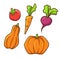 Vector illustration of collection of vegetable.