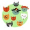 Vector illustration colorful cats pirates. Set of cute cat faces for kids decorations, books and activities Creative meow