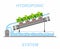 Vector illustration. Construction of plastic pipes for hydroponics-growing plants without soil, in a nutrient medium.