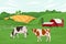 Vector illustration of a cow farm and agriculture. Cattle breeding. Summer rural landscape with a farm and cows eating