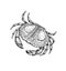 Vector illustration of a crab. Hand drawn sketch.