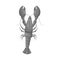 Vector illustration of crayfish  and lobster symbol. Set of crayfish  and boiled vector icon for stock.