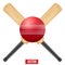 Vector illustration of cricket leather ball and