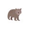 Vector illustration of a cute Australian wombat isolated on a white background.