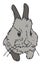 Vector illustration of cute bunny.
