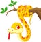 Vector illustration of Cute cartoon yellow snake on branch