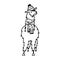 Vector illustration of cute character south America lama