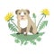 Vector illustration of a cute funny guinea pig in dandelions.