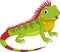 Vector illustration of cute iguana cartoon