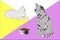 Vector illustration of cute lovely cats in cartoon manner with bowl of cat food in front of them. Vector is added