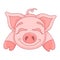 Vector illustration of cute pig, funny piggy