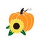 Vector illustration of cute pumpkin or cucurbita with sunflower