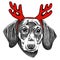 Vector illustration of a Dachshund dog for a Christmas card. Dachshund with red horns of reindeer