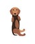 Vector illustration - dachshund dog puppy