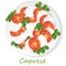 Vector illustration of delicious caprese salad with ripe tomatoes and mozzarella cheese with fresh basil leaves. Italian food