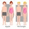 Vector illustration of different body shape types characters standing beauty figure cartoon model.