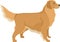 Vector illustration Dogs Golden Retriever