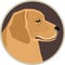 Vector illustration Dogs Golden Retriever Round frame