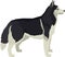 Vector illustration Dogs Siberian Husky