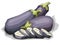 Vector illustration of drawing vegetable eggplant.