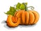 Vector illustration of drawing vegetable pumpkin.