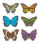 Vector illustration drawings of different butterflies, including `White Admiral`, `Old World Swallowtail`, `Monarch Butterfly`,