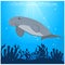 vector illustration dugong swimming under the sea with algae animal conservation