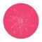 Vector illustration with edelweiss flower white outline on pink background. A simple icon for a logo. Leontopodium alpinum