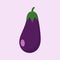 Vector illustration of eggplant. isolated object on a color background. Vegetarianism, vegan, mascot, healthy food, organic