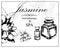 Vector illustration of essential oil of jasmine. The concept of