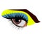 Vector illustration eye human black eyeball look