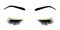 Vector illustration of eyes with long eyes lashes