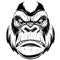 Vector illustration, ferocious gorilla head