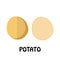 Vector Illustration Flat Potato isolated on white background , Raw materials fresh