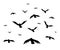 Vector illustration a flock of flying birds. starlings