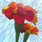 Vector illustration of flower red marigold.