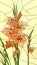 Vector illustration of flowers red gladiolus.