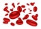 Vector illustration of flowing erythrocytes red blood cells on white background
