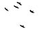 Vector illustration of flying crow herd in the sky black and white