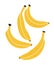 Vector illustration of four bananas on a white background.
